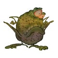 Big fat toad. illustration on a white background Royalty Free Stock Photo