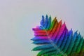 Big fern branch in neon rainbow colors on grey background. Trendy summer botanical poster banner