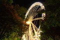 Big ferris wheel Budapest Eye at city park. Budapest Eye at night. Tree Leaves Border. Natural Frame. Autumn evening view. Royalty Free Stock Photo