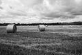 a big field that has hay on it in black and white Royalty Free Stock Photo
