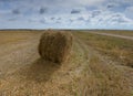 Big field with round sheaves of yellow straw after a crop harvest Royalty Free Stock Photo