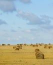 Big field with round sheaves of yellow straw Royalty Free Stock Photo