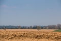 Big fields in the middle of the german countryside with hills, forests and meadows Royalty Free Stock Photo