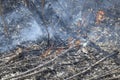 A big fire. The dry grass is burning. much smoke Royalty Free Stock Photo