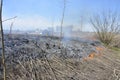 A big fire. The dry grass is burning. much smoke Royalty Free Stock Photo