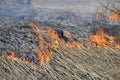 A big fire. The dry grass is burning. much smoke Royalty Free Stock Photo