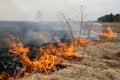 Big fire in the dry grass field. Royalty Free Stock Photo