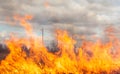 Big fire in the field Royalty Free Stock Photo