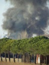 Big fire smoke cloud Royalty Free Stock Photo