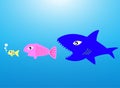 Big fish eat little fish Royalty Free Stock Photo