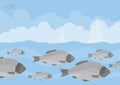 Big fish flock under water Royalty Free Stock Photo