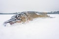 Big fish pike close- up catch on winter fishing. space for text, copy space Royalty Free Stock Photo