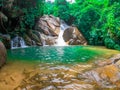 Big fish in pond at beautiful waterfall on nature background Royalty Free Stock Photo