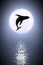 Whale jumping under water on moonlight night Royalty Free Stock Photo