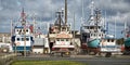 Big fishing industry at Shipaggan