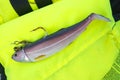 Big fishing silicone bait with hooks for catching cod