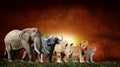 Big five on savanna landscape background and Mount Kilimanjaro at sunset Royalty Free Stock Photo