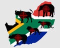 Big Five South Africa cross lines Royalty Free Stock Photo