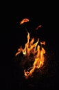 A big flame of fire in the dark. On a black background. Languages of fire. Fire Royalty Free Stock Photo