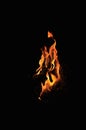 A big flame of fire in the dark. On a black background. Languages of fire. Fire Royalty Free Stock Photo