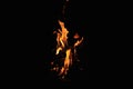 A big flame of fire in the dark. On a black background. Languages of fire. Fire Royalty Free Stock Photo