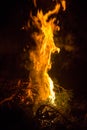 Big Vertical Flame Night Campfire