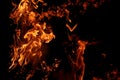 Big flames Royalty Free Stock Photo