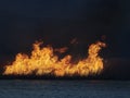 Big flames on field during fire Royalty Free Stock Photo