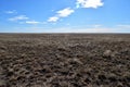 Llano estacado limitless sea of grass Royalty Free Stock Photo