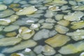 Big flat stones under the frozen lake with a little snow on ice. Winter landscape. Close-up Royalty Free Stock Photo