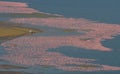 Big flock of flamingos on the lake. Taking pictures with the bird's-eye view. Kenya. Africa. Nakuru National Park. Lake Bogoria Na Royalty Free Stock Photo