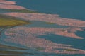 Big flock of flamingos on the lake. Taking pictures with the bird's-eye view. Kenya. Africa. Nakuru National Park. Lake Bogoria Na Royalty Free Stock Photo