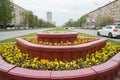Big flower bed with yellow flowers on the Leninsky avenue in Moscow