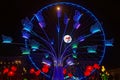 Big flower and big wheel on Place Bellecour Royalty Free Stock Photo