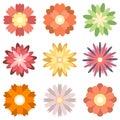 Colorful spring flowers collection set isolated on  white background Royalty Free Stock Photo