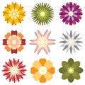 Colorful spring flowers collection set isolated on  white background Royalty Free Stock Photo