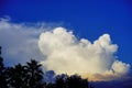 Big, fluffy, billowy cumulus clouds