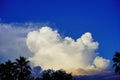 Big, fluffy, billowy cumulus clouds