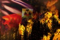 Big forest fire fight concept, natural disaster - burning fire in the trees on Haiti flag background - 3D illustration of nature Royalty Free Stock Photo