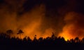 Big forest fire during night. Royalty Free Stock Photo