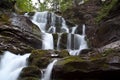 Big forest waterfall