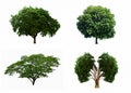 Big four tree sets isolated on white background.