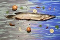Big fresh fish laying on blue and grey background sorrounded with ingredients and spices for cooking