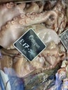 Big fresh juicy octopus in ice on a market stall in traditional UK Fish Market Royalty Free Stock Photo