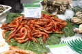 Big fresh natural shrimps on ice. Close up of traditional premium seafood. City market at Barcelona, Catalonia, Spain