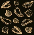 Oyster. Vector drawing Royalty Free Stock Photo