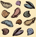 Oyster. Vector drawing Royalty Free Stock Photo