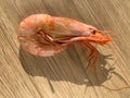 Big fresh pink king jumbo tiger cooked prawn shrimp seafood top flat view on wooden background Royalty Free Stock Photo
