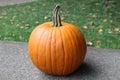 A Big Fresh Pumpkin Close up