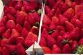 Big fresh ripe red strawberries in the box on the market showcase. Premium natural organic product Royalty Free Stock Photo